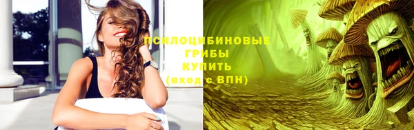 дурь Алзамай